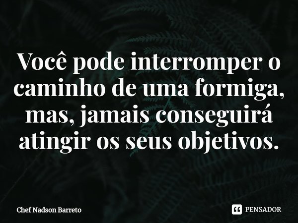 ⁠Você pode interromper o caminho de uma formiga, mas, jamais conseguirá atingir os seus objetivos.... Frase de Chef Nadson Barreto.