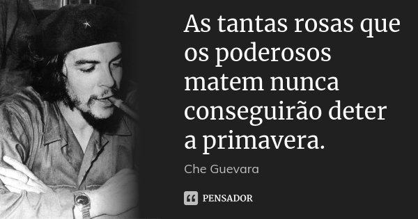 As tantas rosas que os poderosos matem nunca conseguirão deter a primavera.... Frase de Che Guevara.