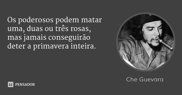 Che Guevara: Os poderosos podem matar uma, duas ou tr