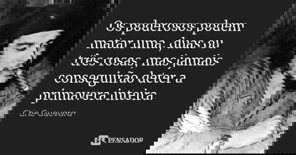 Os poderosos podem matar uma, duas ou três rosas, mas jamais conseguirão deter a primavera inteira.... Frase de Che Guevara.
