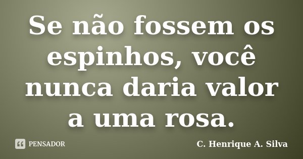 Se não fossem os espinhos, você nunca daria valor a uma rosa.... Frase de C. Henrique A. Silva.
