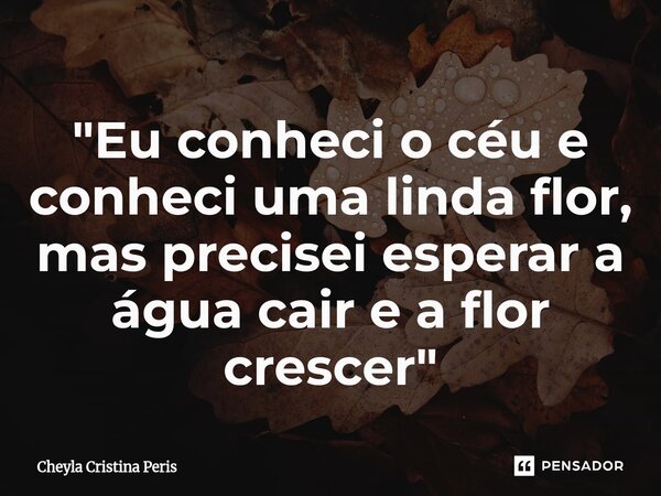 "Eu conheci o céu e conheci uma linda flor, mas precisei esperar a água cair e a flor crescer"... Frase de Cheyla Cristina Péris.