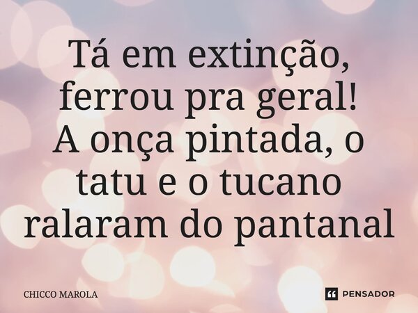 ⁠Tá em extinção, ferrou pra geral! A onça pintada, o tatu e o tucano ralaram do pantanal... Frase de CHICCO MAROLA.