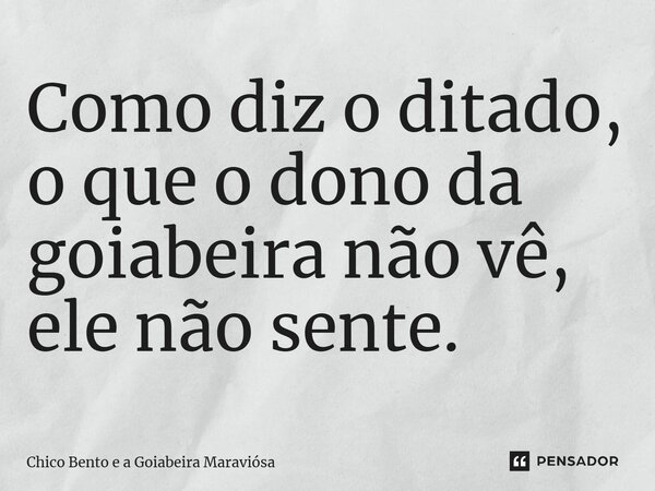 ⁠Como diz o ditado, o que o dono da goiabeira não vê, ele não sente.... Frase de Chico Bento e a Goiabeira Maraviósa.