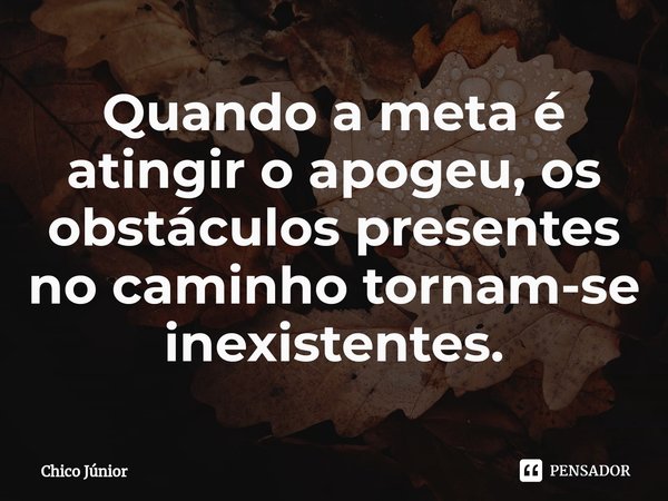 ⁠Quando a meta é atingir o apogeu, os obstáculos presentes no caminho tornam-se inexistentes.... Frase de Chico Júnior.
