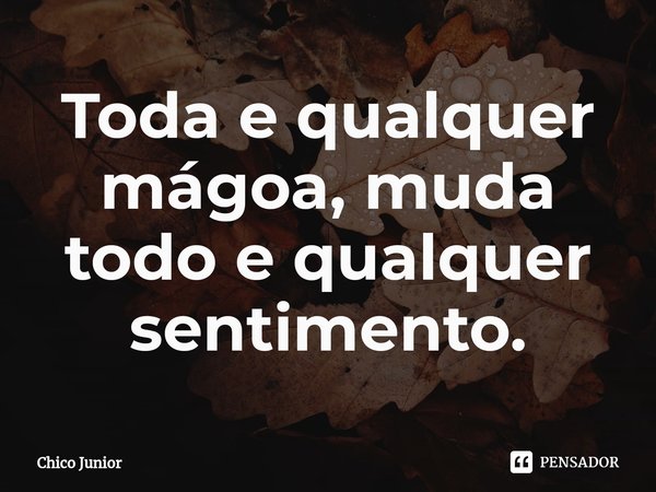 ⁠Toda e qualquer mágoa, muda todo e qualquer sentimento.... Frase de Chico Junior.