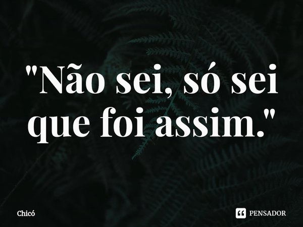 "Não sei, só sei que foi assim."⁠... Frase de Chico.