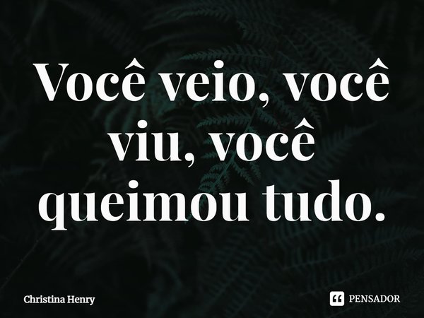 ⁠Você veio, você viu, você queimou tudo.... Frase de Christina Henry.