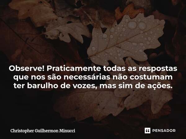 ⁠ Observe! Praticamente todas as respostas que nos são necessárias não costumam ter barulho de vozes, mas sim de ações.... Frase de Christopher Guilhermon Minucci.