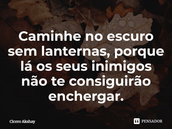 Caminhe no escuro sem lanternas, porque lá os seus inimigos não te consiguirão enchergar.... Frase de Cicero Akshay.