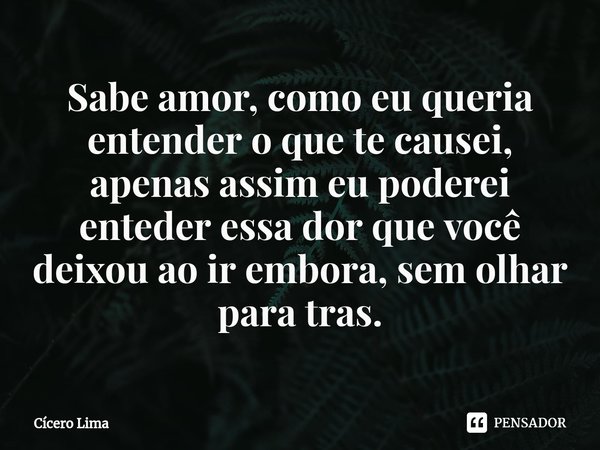 ⁠Sabe amor, como eu queria entender o que te causei, apenas assim eu poderei enteder essa dor que você deixou ao ir embora, sem olhar para tras.... Frase de Cícero Lima.