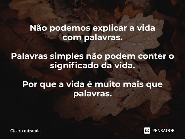 ⁠Não podemos explicar a vida
com palavras. Palavras simples não podem conter o significado da vida. Por que a vida é muito mais que palavras.... Frase de Cicero miranda.
