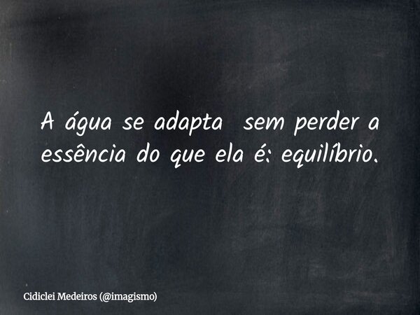 A água se adapta sem perder a essência do que ela é: equilíbrio.... Frase de Cidiclei Medeiros (imagismo).