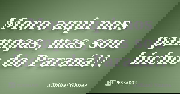 Moro aqui nos pampas, mas sou bicho do Paraná!!... Frase de Cidinei Nunes.