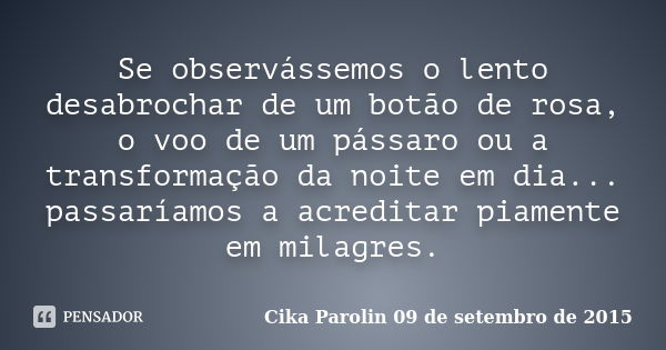 Se observássemos o lento desabrochar de um botão de rosa, o voo de um pássaro ou a transformação da noite em dia... passaríamos a acreditar piamente em milagres... Frase de Cika Parolin 09 de setembro de 2015.