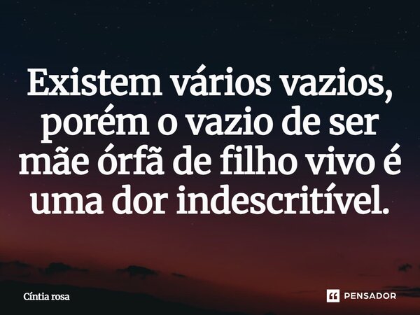 ⁠Existem vários vazios, porém o vazio de ser mãe órfã de filho vivo é uma dor indescritível.... Frase de Cíntia Rosa.