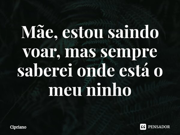 ⁠Mãe, estou saindo voar, mas sempre saberei onde está o meu ninho... Frase de Cipriano.