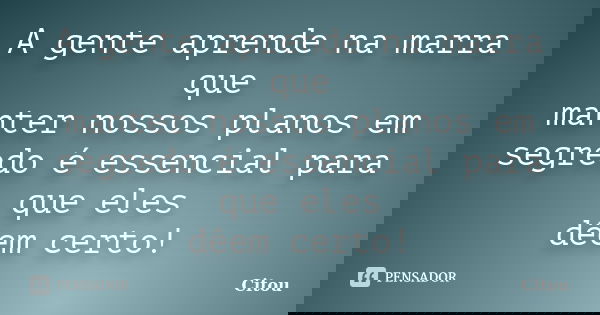 A gente aprende na marra que manter nossos planos em segredo é essencial para que eles dêem certo!... Frase de Citou.