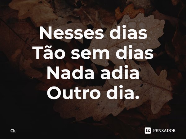 ⁠Nesses dias
Tão sem dias
Nada adia
Outro dia.... Frase de Ck..