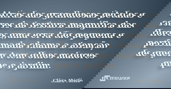 Atrás das grandiosas pétalas e cores da textura magnífica das flores,uma erva tão pequena e perfumada chama a atenção de quem tem olhos maiores que o jardim.... Frase de Clara Mello.