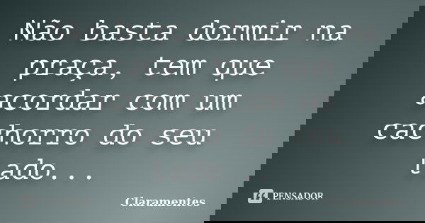Não basta dormir na praça, tem que acordar com um cachorro do seu lado...... Frase de Claramentes.