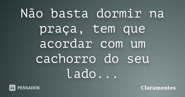 Não basta dormir na praça, tem que acordar com um cachorro do seu lado...... Frase de Claramentes.