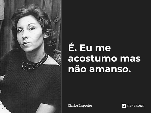 É. Eu me acostumo mas não amanso.... Frase de Clarice Lispector.