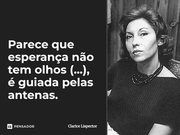 ⁠Parece que esperança não tem olhos (...), é guiada pelas antenas.... Frase de Clarice Lispector.