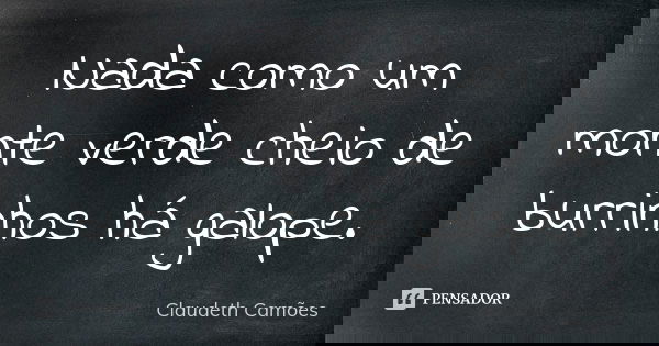Nada como um monte verde cheio de burrinhos há galope.... Frase de Claudeth Camões.