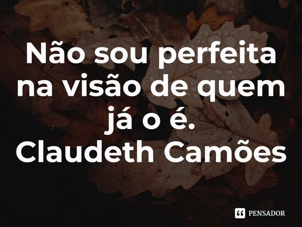 ⁠Não sou perfeita na visão de quem já o é.... Frase de Claudeth Camões.