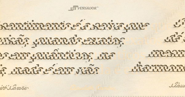 O sentimento é a seiva que dá visão, quando exatos, mesmo em quânticos, na harmonia, nada é em vão.... Frase de Claudeth Camões.