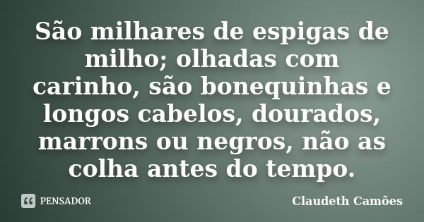 São milhares de espigas de milho; olhadas com carinho, são bonequinhas e longos cabelos, dourados, marrons ou negros, não as colha antes do tempo.... Frase de Claudeth Camões.