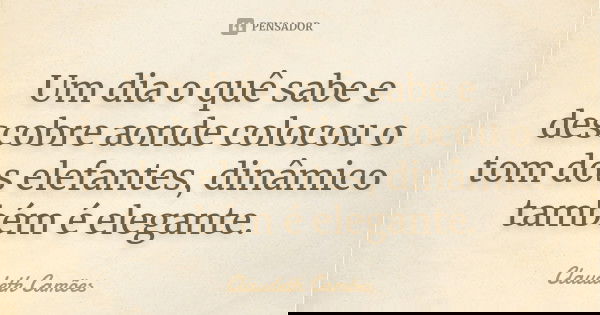 Um dia o quê sabe e descobre aonde colocou o tom dos elefantes, dinâmico também é elegante.... Frase de Claudeth Camões.
