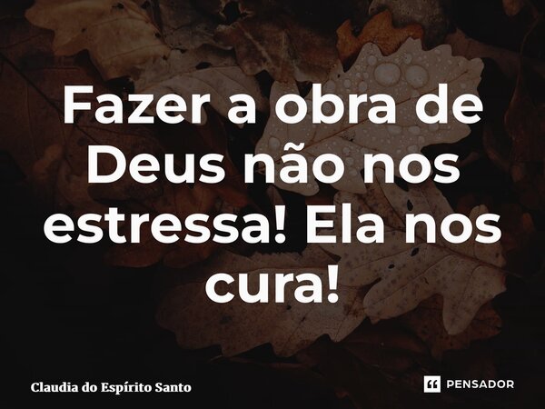 ⁠Fazer a obra de Deus não nos estressa! Ela nos cura!... Frase de Claudia do Espírito Santo.