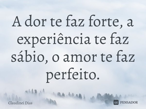 ⁠A dor te faz forte, a experiência te faz sábio, o amor te faz perfeito.... Frase de Claudinei Dias.