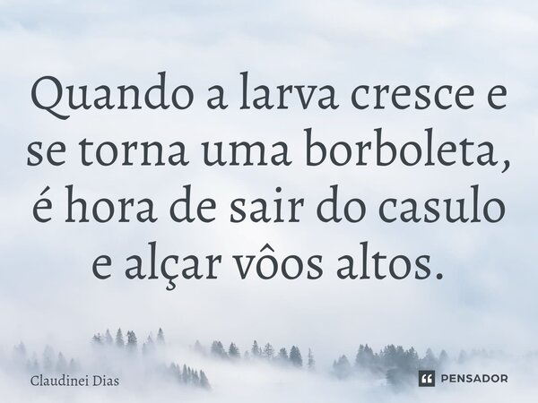 ⁠Quando a larva cresce e se torna uma borboleta, é hora de sair do casulo e alçar vôos altos.... Frase de Claudinei Dias.