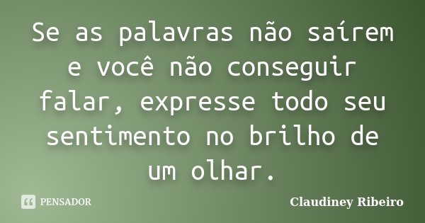 Se as palavras não saírem e você não conseguir falar, expresse todo seu sentimento no brilho de um olhar.... Frase de Claudiney Ribeiro.