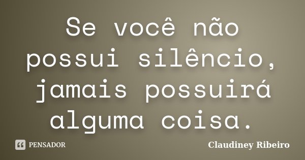Se você não possui silêncio, jamais possuirá alguma coisa.... Frase de Claudiney Ribeiro.