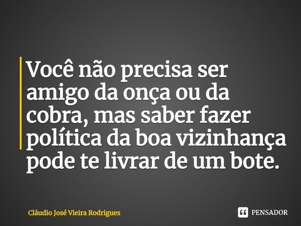 ⁠Você não precisa ser amigo da onça ou da cobra, mas saber fazer política da boa vizinhança pode te livrar de um bote.... Frase de Cláudio José Vieira Rodrigues.