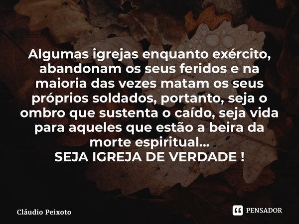 ⁠Algumas igrejas enquanto exército, abandonam os seus feridos e na maioria das vezes matam os seus próprios soldados, portanto, seja o ombro que sustenta o caíd... Frase de Cláudio Peixoto.