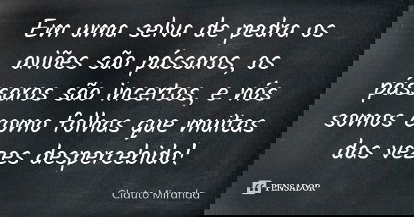 Em uma selva de pedra os aviões são pássaros, os pássaros são incertos, e nós somos como folhas que muitas das vezes despercebido!... Frase de Clauto Miranda.