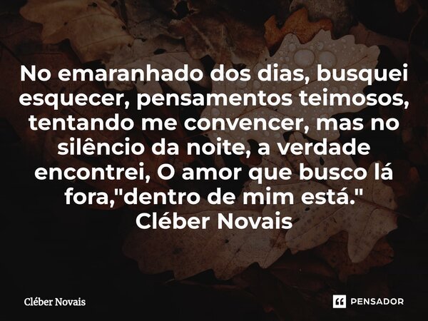 ⁠No emaranhado dos dias, busquei esquecer, pensamentos teimosos, tentando me convencer, mas no silêncio da noite, a verdade encontrei, O amor que busco lá fora,... Frase de Cleber Novais.