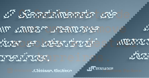 O Sentimento de um amor remove manchas e destrói barreiras.... Frase de Cleisson Pacheco.