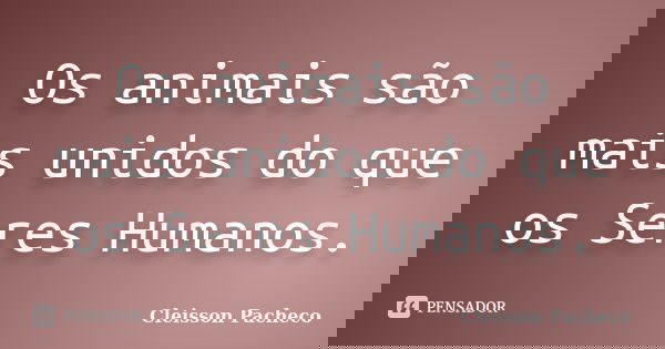 Os animais são mais unidos do que os Seres Humanos.... Frase de Cleisson Pacheco.