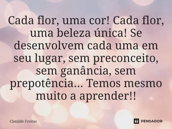 ⁠Cada flor, uma cor! Cada flor, uma beleza única! Se desenvolvem cada uma em seu lugar, sem preconceito, sem ganância, sem prepotência... Temos mesmo muito a ap... Frase de Clenilde Freitas.