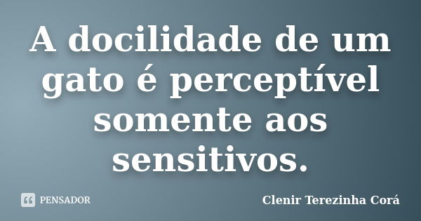 A docilidade de um gato é perceptível somente aos sensitivos.... Frase de Clenir Terezinha Corá.