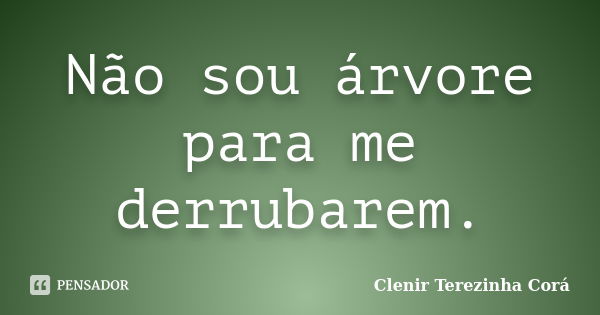 Não sou árvore para me derrubarem.... Frase de Clenir Terezinha Cora.