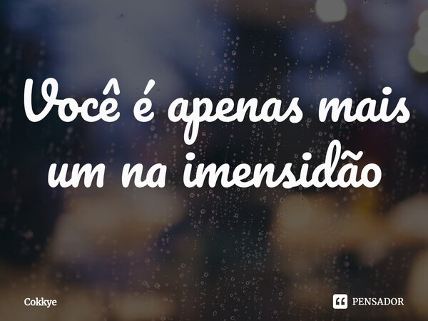 Você é apenas mais um na imensidão... Frase de Cokkye.