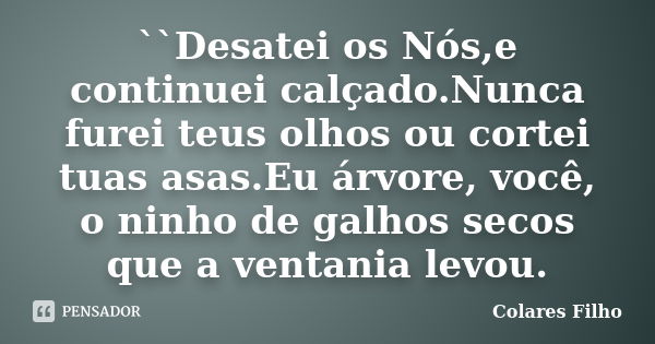 ``Desatei os Nós,e continuei calçado.Nunca furei teus olhos ou cortei tuas asas.Eu árvore, você, o ninho de galhos secos que a ventania levou.... Frase de Colares Filho.