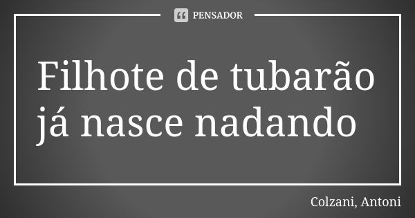 Filhote de tubarão já nasce nadando... Frase de Colzani, Antoni.